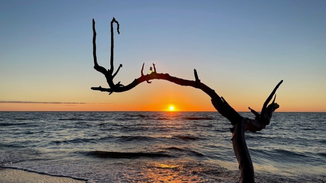 2 Florida State Parks ranked among nation’s best beaches, per study
