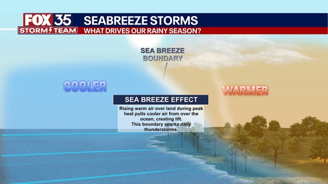 Florida rainy season: When does it start and end? Why does it rain in the afternoon?