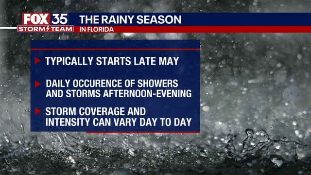 Florida rainy season: When does it start and end? Why does it rain in the afternoon?