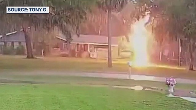 Lightning strikes tree just feet from Ormond Beach home: 'It was just an instantaneous smash'