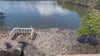 Algae bloom blamed for foul water conditions near Brevard County park