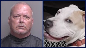 Palm Coast man accused of aggravated animal cruelty, killing dog by strangulation