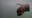 Otter bites person at Wekiva Island; FWC searching for animal