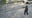 Deputy shoots suspect after violent struggle outside Pine Hills store; FDLE investigating