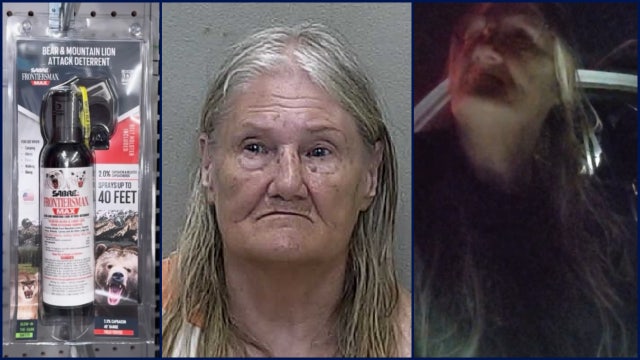 Florida woman sprays bear mace at neighbor's children playing with bubbles: deputies