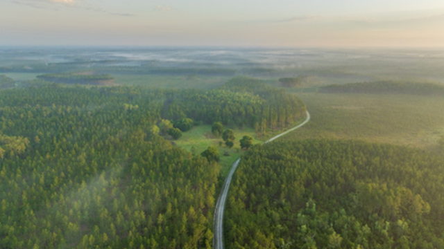 Gov. DeSantis, Florida Cabinet approve protection of more than 78,000 acres of land