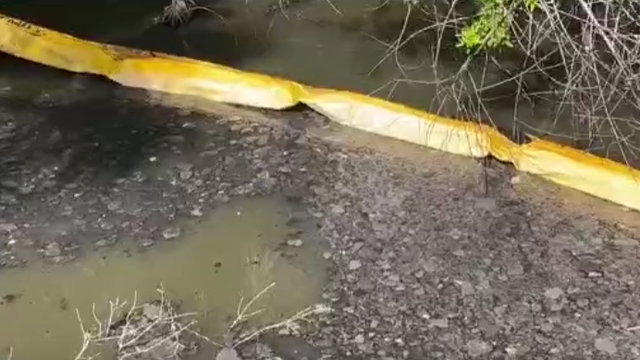 Palm Bay officials say more than 3 million gallons of sewage was released when pipe broke unexpectedly