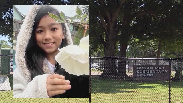 Family of Sugar Mill Elementary student killed in school zone crash suing driver