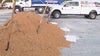 City of Orlando giving out free sandbags for hurricane season: Here's when and where
