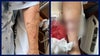 Volusia County woman attacked by 2 dogs while delivering food to Ormond Beach home: Records