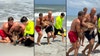 Deer struggling in ocean off Flagler Beach rescued by lifeguards: 'We save lives'