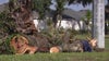 Man killed in Sumter County after tree falls on car in ‘freak accident,’ authorities say