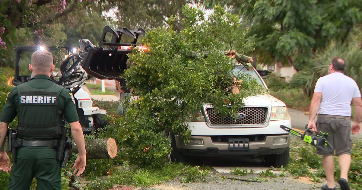 Lightning strikes tree, causing it to topple on vehicle in Altamonte ...