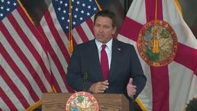 DeSantis slams California Democrat over claim 'Diary of Anne Frank' banned in Florida