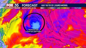 NWS Climate Prediction Center: Potential for tropical development in Gulf in mid-July