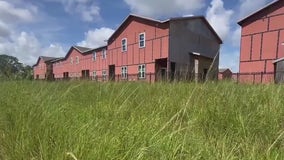 Investors demand refunds after Palm Bay townhomes construction stalls, property deteriorates