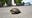 Man dies trying to save turtle on I-95 in Florida, troopers say