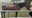 Florida woman accused of animal cruelty after horse found emaciated: Sheriff's Office