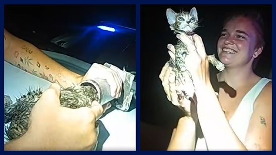 WATCH: Florida kitten with head stuck in pipe rescued by deputies, named 'Piper'