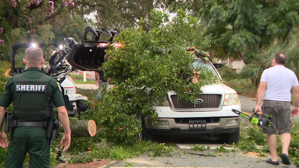 Lightning strikes tree, causing it to topple on vehicle in Altamonte Springs, officials say