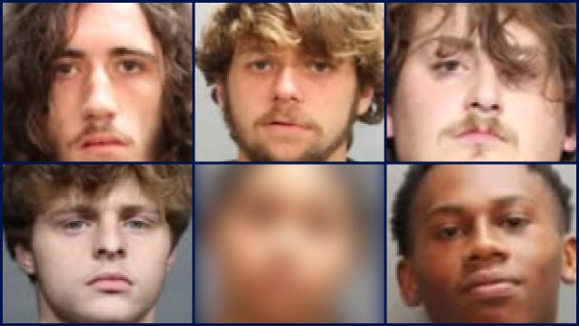 Florida officers arrest 6 friends, clear 11 cases after great dane dog killed in drive-by shooting