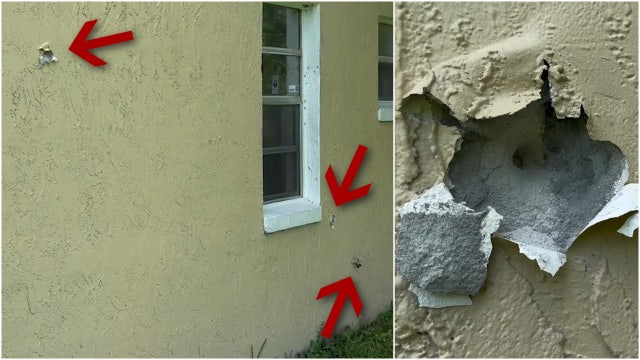 Eatonville park shootout: Police searching for 4 suspects after bullets hit homes