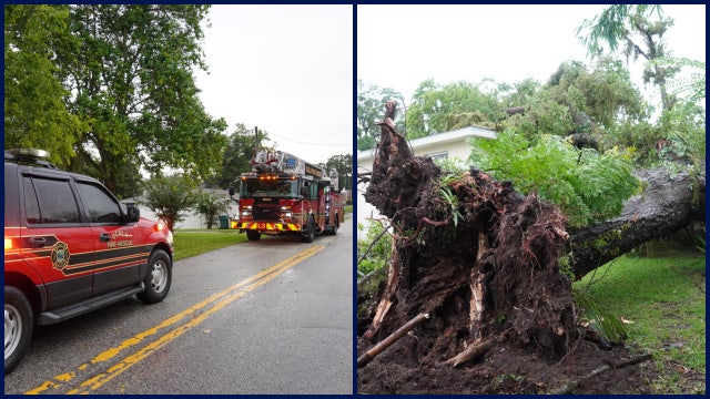 Tree crashes onto Ocala duplex during storm; resident and dog rescued
