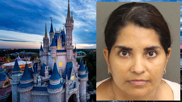 Altercation at Magic Kingdom ends with arrest of woman on child abuse charge, deputies say