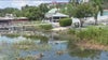 Mount Dora residents concerned about trash and debris flowing into Lake Dora