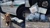 Orange County K-9 helps intercept 22 pounds of cocaine headed to Orlando area