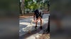 VIDEO: Orlando officer gives water to thirsty goose at Lake Eola amid rising temps