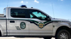 Bear hit and killed on I-4 in Seminole County, FWC says