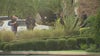 2 detained after possible shots fired in Lake Nona neighborhood, police say