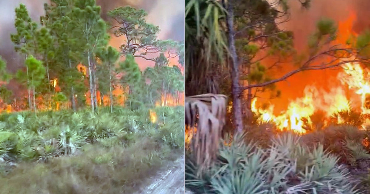 Firefighters battle brush fire in Brevard County believed to have been ...
