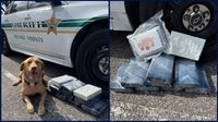 Orange County K-9 helps intercept 22 pounds of cocaine headed to Orlando area
