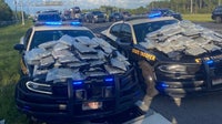 150 pounds of pot, $40K found in Polk County after Florida trooper stops fleeing driver