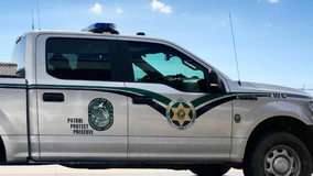 Bear hit and killed on I-4 in Seminole County, FWC says