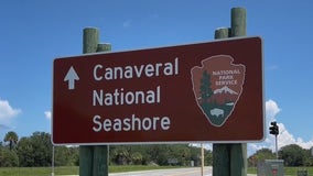 Playalinda Beach at Canaveral National Seashore could close up to 60 days a year for Starship launches
