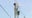 Palm Bay’s school zone speed cameras allegedly violating state law: FOX 35 Investigates