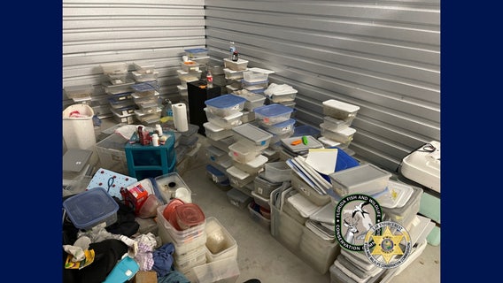 Florida man kept 111 geckos locked in a storage unit that was later abandoned, officials say
