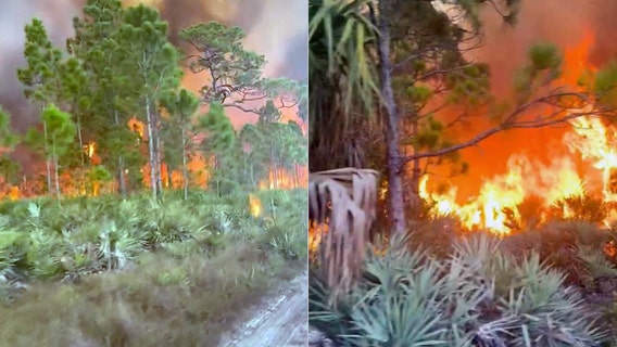 Firefighters battle brush fire in Brevard County believed to have been sparked by lightning