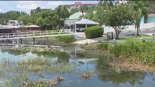 Mount Dora residents concerned about trash and debris flowing into Lake Dora
