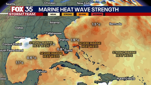 Florida faces potential heightened risk of intense hurricanes due to marine heat wave