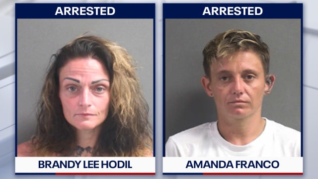 Owners of 2 dogs that killed Florida child face additional charge, deputies say