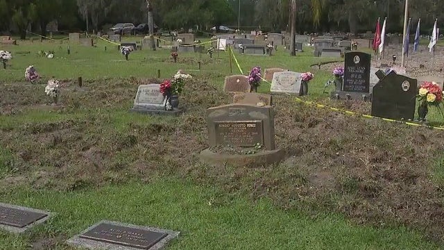 Flagler County cemetery damaged by wild hog invasion