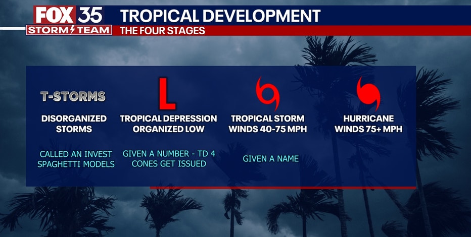 洋楽 HUrricane / terms&deff nish'n(s) Hurricane terms & deff nish´n(s)の通販はau PAY マーケット - 輸入