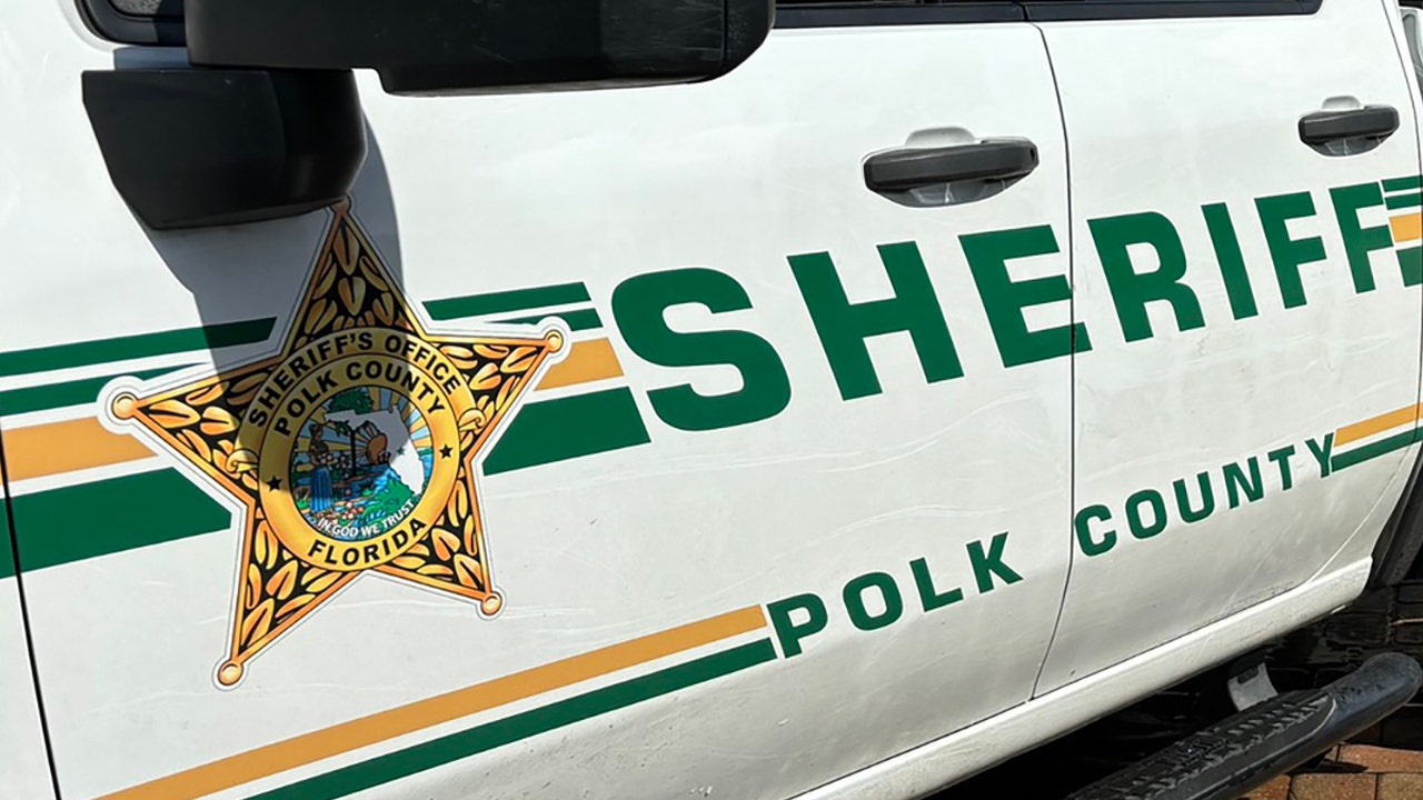 9 cows found shot in Polk County: Sheriff's office seeking information