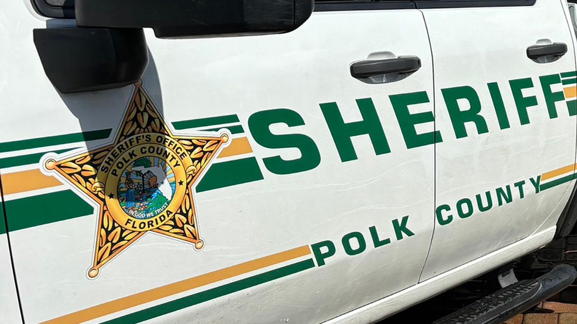 9 cows found shot in Polk County: Sheriff's office seeking information