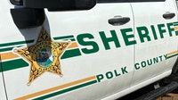 9 cows found shot in Polk County: Sheriff's office seeking information