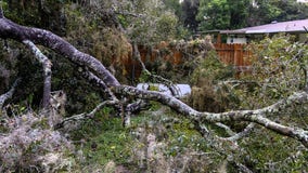 Marion County tree falls on 120-gallon propane tank, causing large gas leak: officials